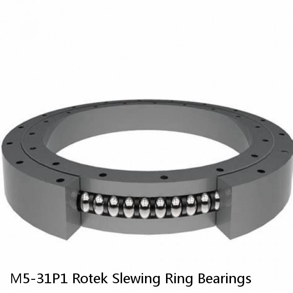 M5-31P1 Rotek Slewing Ring Bearings