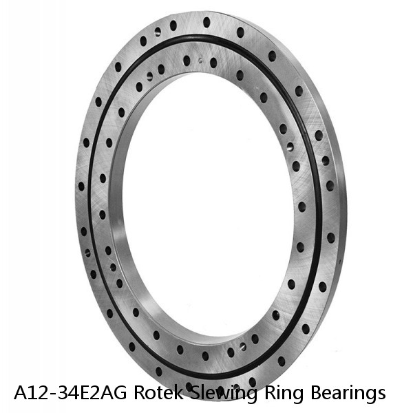 A12-34E2AG Rotek Slewing Ring Bearings #1 small image