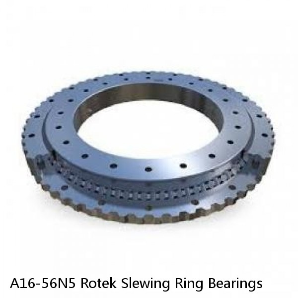 A16-56N5 Rotek Slewing Ring Bearings #1 small image