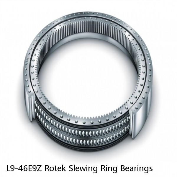 L9-46E9Z Rotek Slewing Ring Bearings #1 image