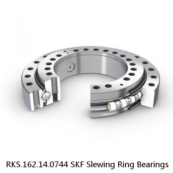 RKS.162.14.0744 SKF Slewing Ring Bearings #1 image