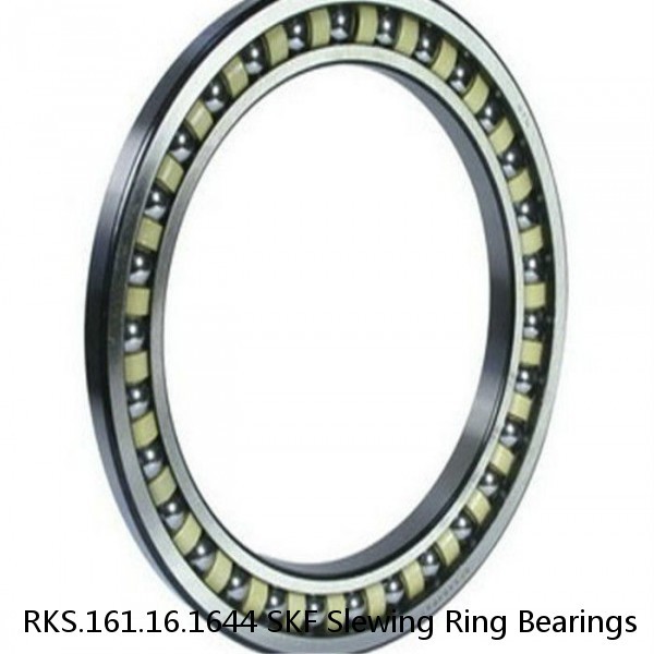 RKS.161.16.1644 SKF Slewing Ring Bearings #1 image