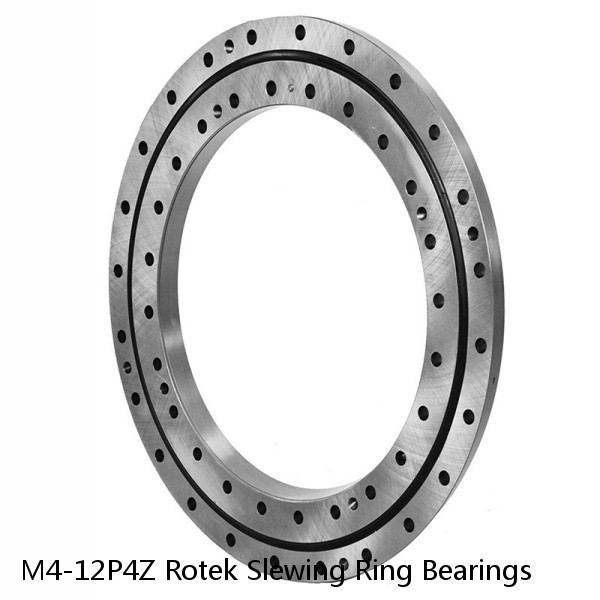 M4-12P4Z Rotek Slewing Ring Bearings #1 image