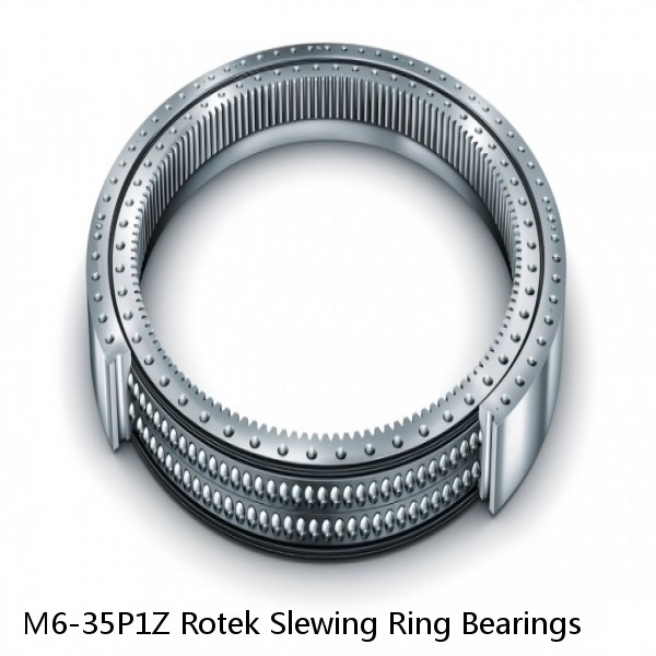 M6-35P1Z Rotek Slewing Ring Bearings #1 image