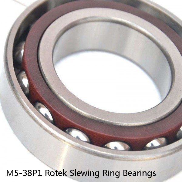 M5-38P1 Rotek Slewing Ring Bearings #1 image