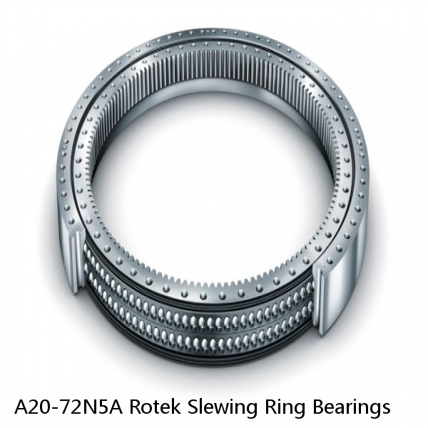 A20-72N5A Rotek Slewing Ring Bearings #1 image