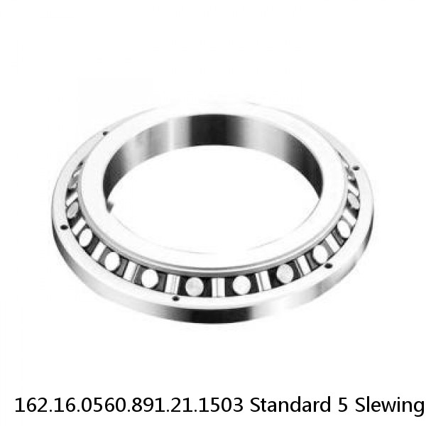 162.16.0560.891.21.1503 Standard 5 Slewing Ring Bearings #1 image