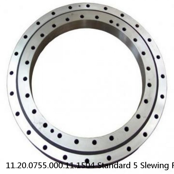 11.20.0755.000.11.1504 Standard 5 Slewing Ring Bearings #1 image