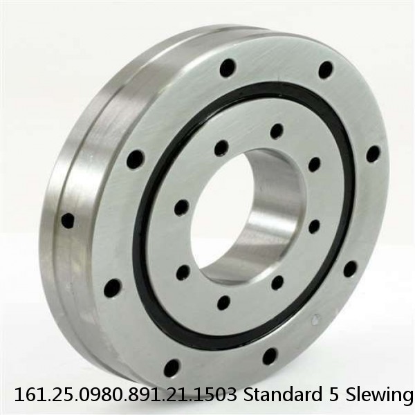 161.25.0980.891.21.1503 Standard 5 Slewing Ring Bearings #1 image