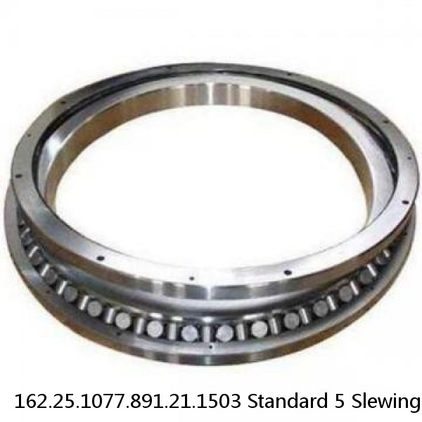 162.25.1077.891.21.1503 Standard 5 Slewing Ring Bearings #1 image