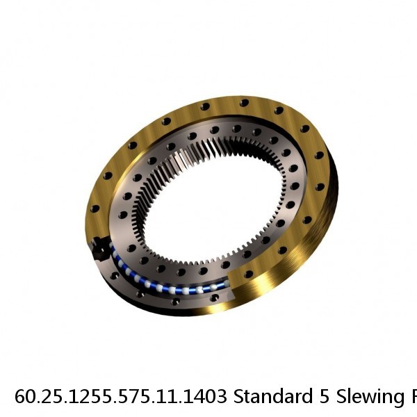 60.25.1255.575.11.1403 Standard 5 Slewing Ring Bearings #1 image