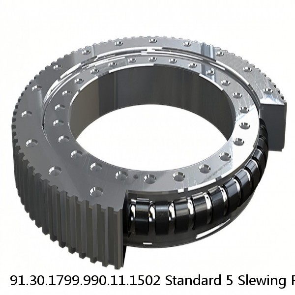 91.30.1799.990.11.1502 Standard 5 Slewing Ring Bearings #1 image