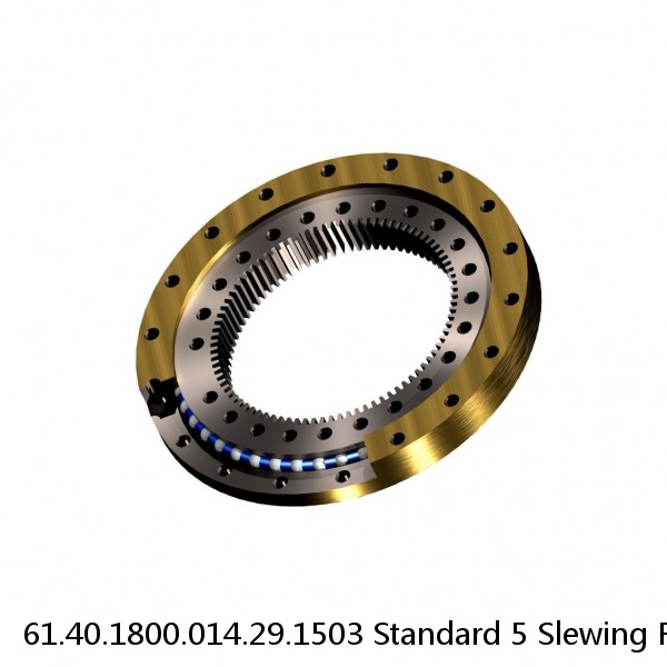 61.40.1800.014.29.1503 Standard 5 Slewing Ring Bearings #1 image