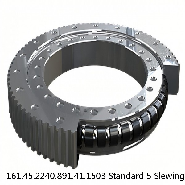 161.45.2240.891.41.1503 Standard 5 Slewing Ring Bearings #1 image